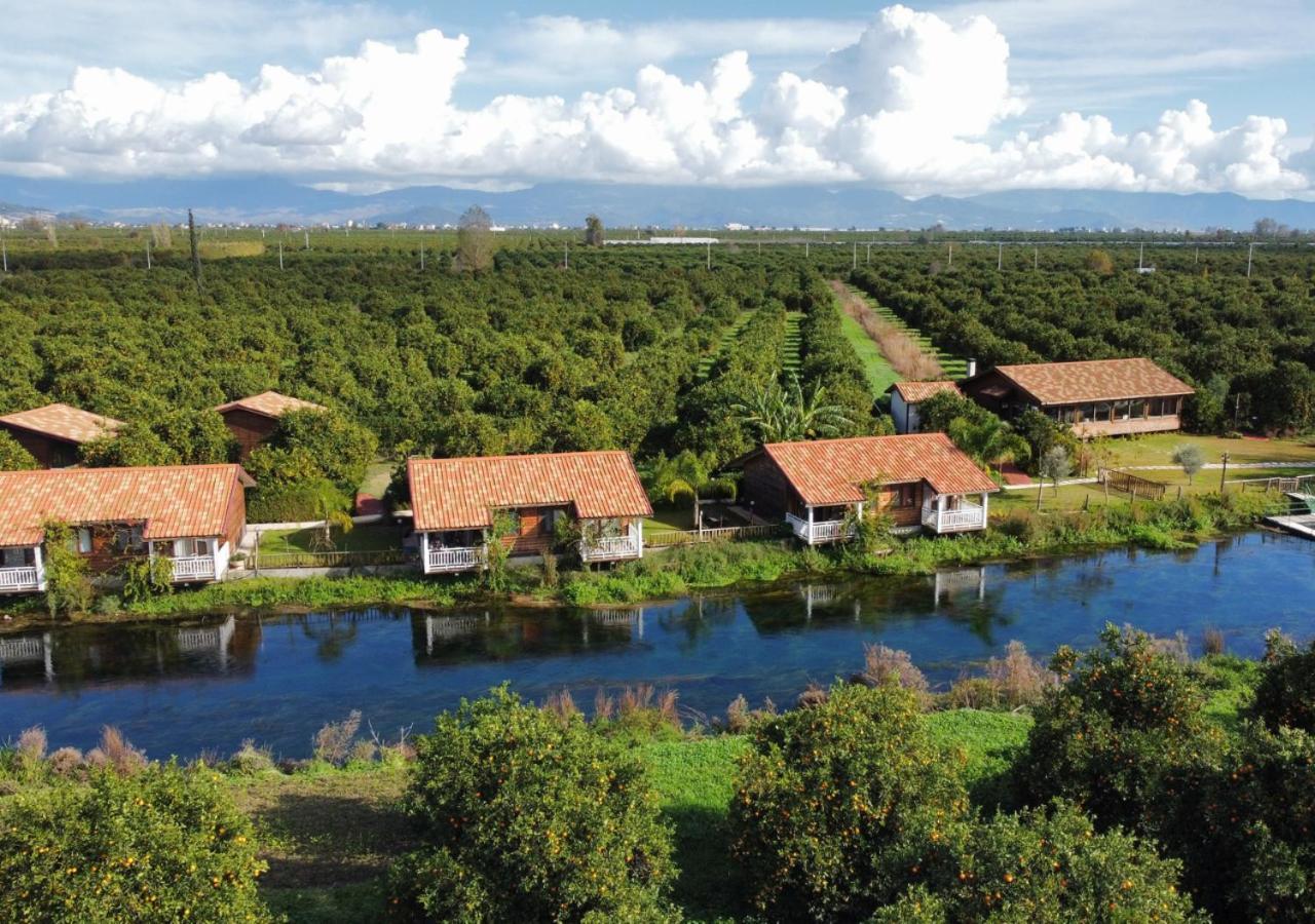 Turkuazkoey Guest House Finike Ngoại thất bức ảnh